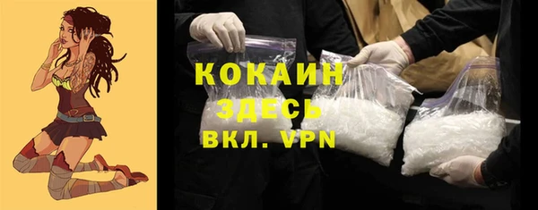 молекула духа Алзамай