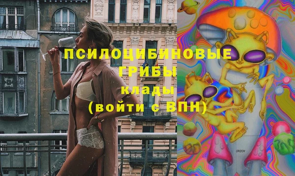 молекула духа Алзамай