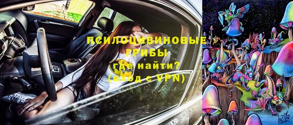 молекула духа Алзамай