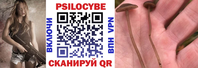 Галлюциногенные грибы мухоморы  Зарайск 
